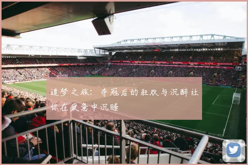 追梦之旅：夺冠后的狂欢与沉醉让你在疲惫中沉睡